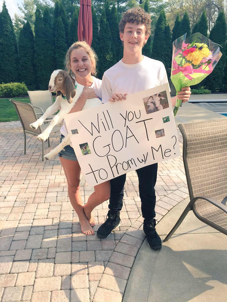 dailygoats's tweet photo. Prom goals 🐑💍 http://t.co/2SUwVDqa9y