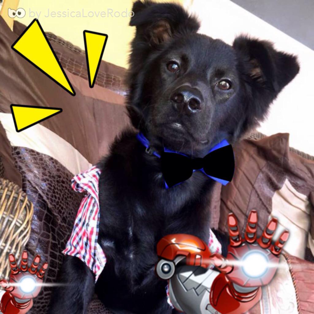 Bo_App tweet picture