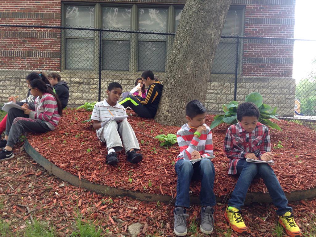 RoselynnRosy's tweet image. @mrfarnumsclass love it! We were outside for math yesterday too! Even had a little visitor! #classjoy