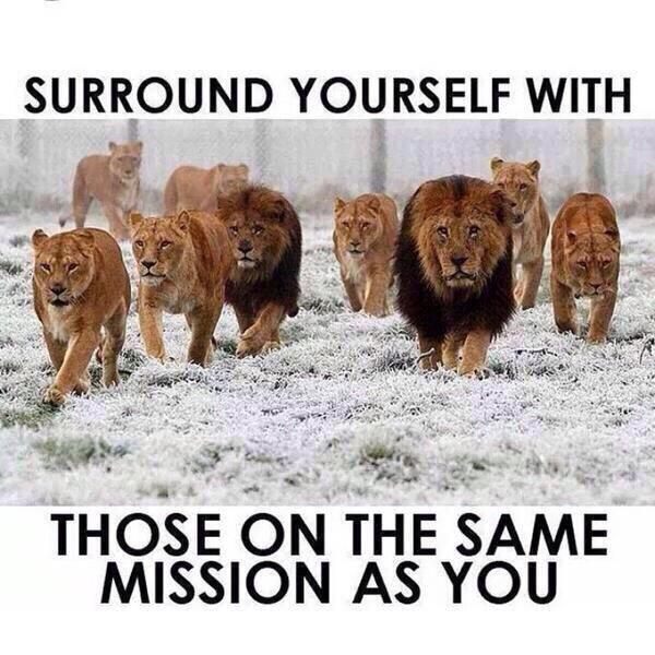 SuccessGoalsBRO's tweet photo. Surround yourself.. http://t.co/1fEjcoyDiA