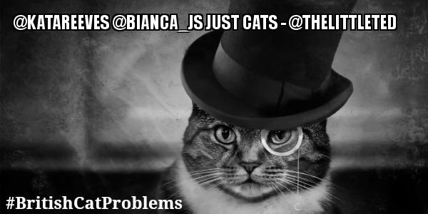 SirBritCat's tweet photo. "#BritishCatProblems @katareeves @bianca_js Just cats" - @THELITTLETED http://t.co/LYixWD43lG