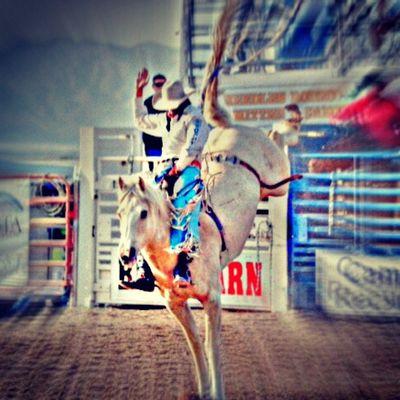 therodeotrail's tweet photo. Happy #BarebackWednesday! Check out my interview with PRCA Bareback Rider, @krcharley15 below
https://t.co/NXbwvdJGwe http://t.co/LPutjKP3i1