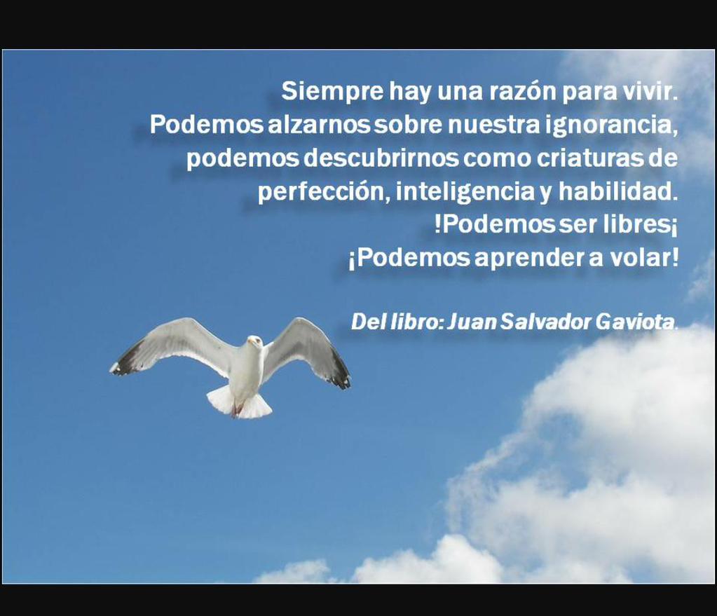 Resultado de imagen para frase con gaviotas