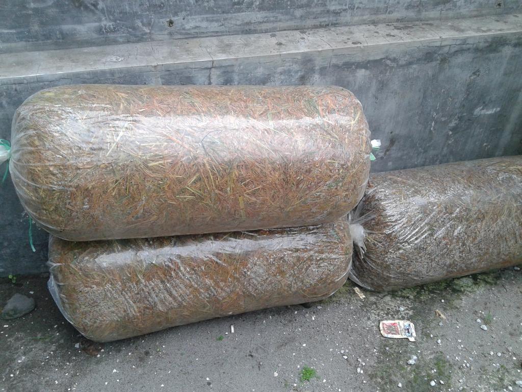 KoperasiSapu's tweet photo. Hasil fermentasi dari #Ajib Roter Ternak @KabMojokerto @KabJombang @KabKediri @KabGresik @KabMadiun @kabtrenggalek http://t.co/fuLkRg1TEu