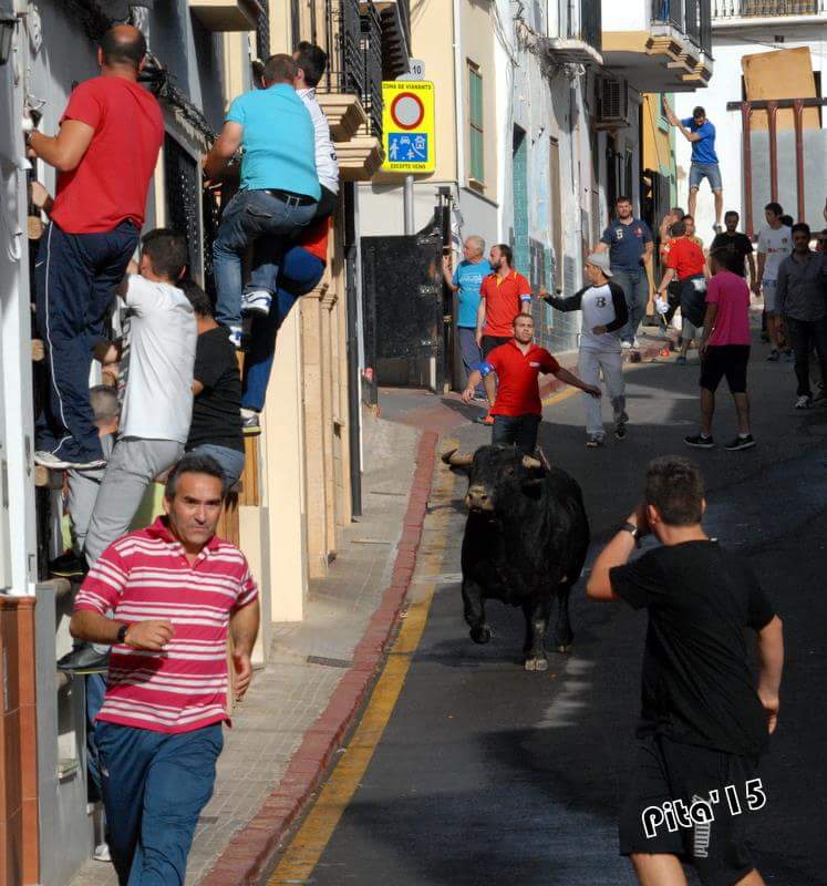 ArnalFran's tweet photo. Buenos dias y empezando nuevo Twitter! Mañana empieza el gusanillo de San Isidro!! http://t.co/9lNc0qQl7r