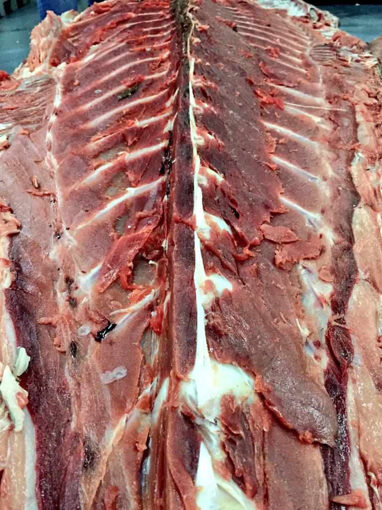 adolfosangar's tweet photo. Marcha y pasa una de atún 🎏🎏🎣 http://t.co/3MHvIljJJc