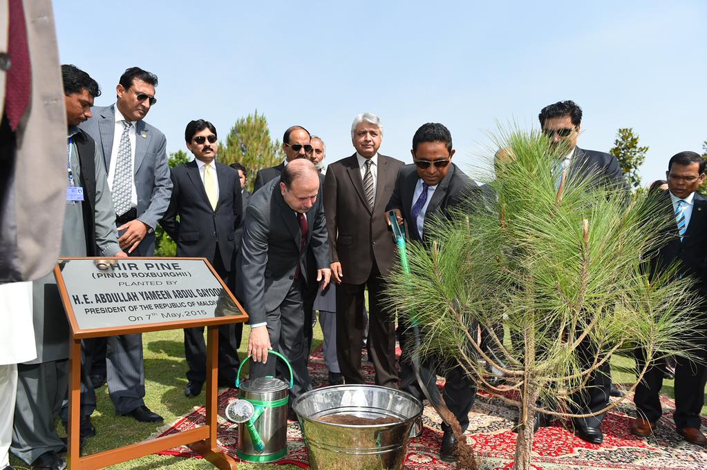 Yameen2O23's tweet photo. Tree Plantation ceremony at #Shakarparian Memorial Garden

http://t.co/oedHvpQNnM http://t.co/7gv7q8khUw http://t.co/kAJFoxZKcn