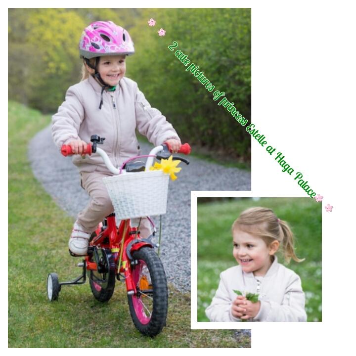 princesEstelle's tweet photo. loves spring and flowers on her bike at Haga Palace 

#princessEstelle #spring #bike #flowers  #hagapalace http://t.co/5GVYgajB7J