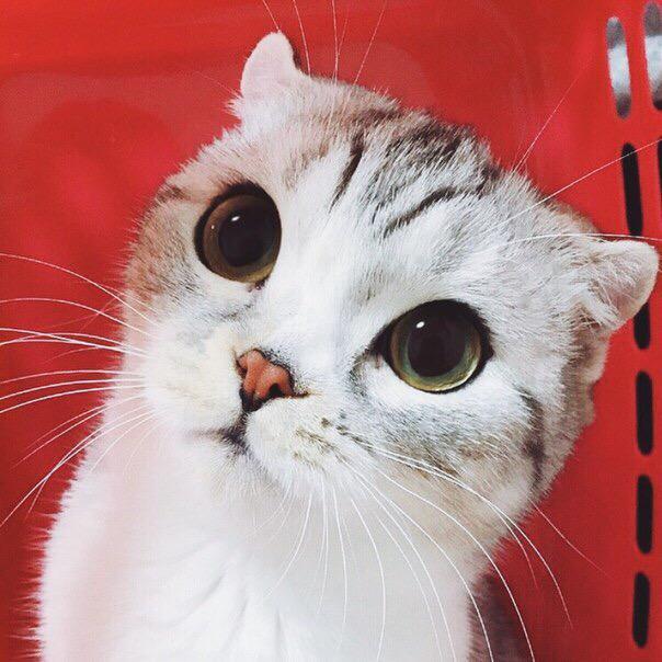 <a href="/_Love_Bizzle_/">джессu</a> не болей пожалуйста💕