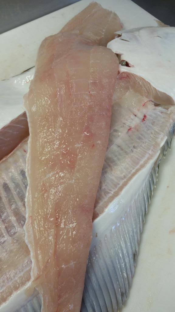 FFRinc1976's tweet photo. Kicking off 2015 today!  #freshhalibut #stonington #seatotable http://t.co/3keK9iLenA