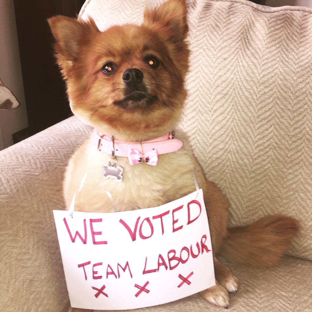 aimee_cherchi's tweet photo. #TeamLabour #ElectionDay #EdMiliband #LabourMustWin #Labour http://t.co/m6fVR2PaI4