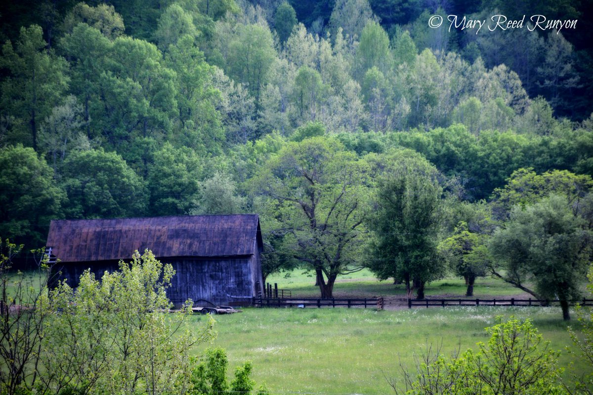 RealAppalachia's tweet photo. “@MaryReedRunyon1: #SpringTime in #Kentucky  @BluegrassScenes @JimWKYT @WSAZJoshFitz @RealAppalachia @WeatherNation http://t.co/CteqGkmJ3R”