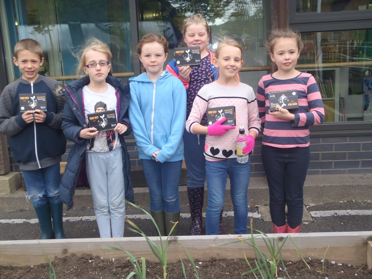 Springfield_Sch_Swad tweet media