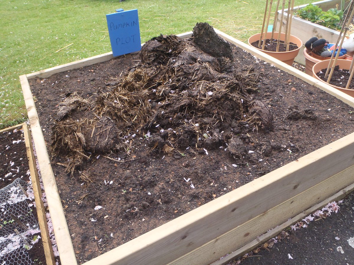 Springfield_Sch_Swad tweet media