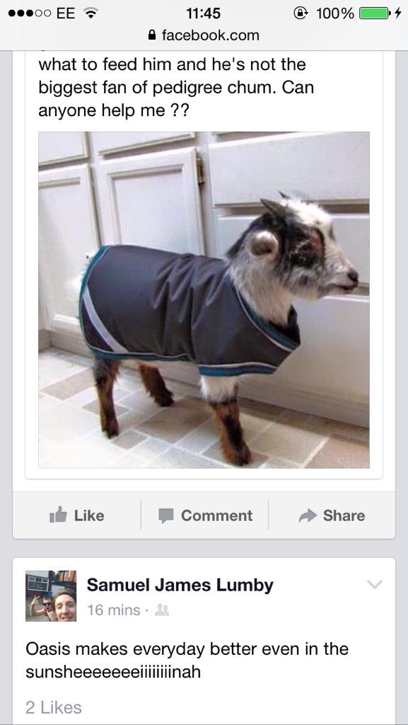 Omg this is harsh 😫😂😩😂