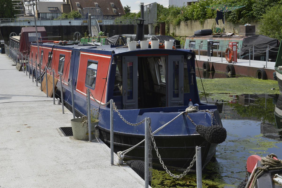 Pavilion Books tweet media