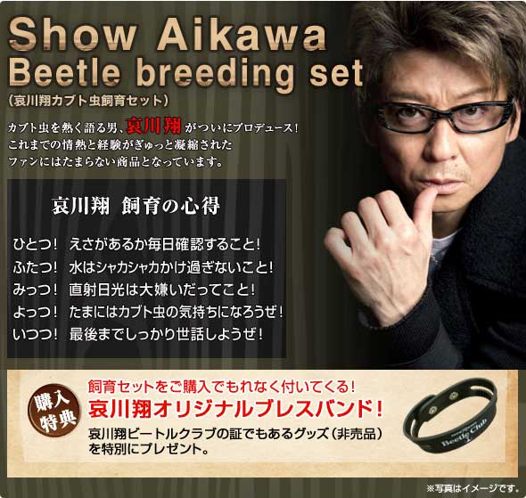 哀川翔さんついにカブトムシでギネスへ 飼育セットに講習会とアニキのカブトムシ事業が手広すぎ 動画あり Togetter