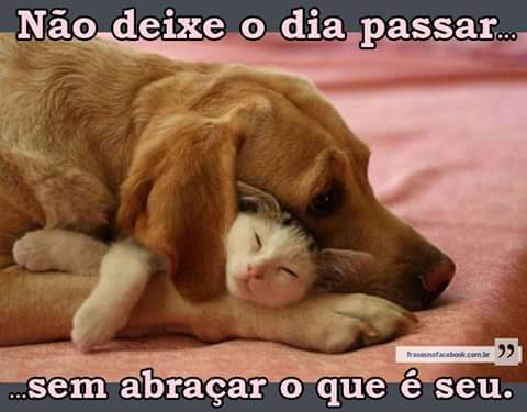 Rubia Ferreira (@rubialily07) on Twitter photo 