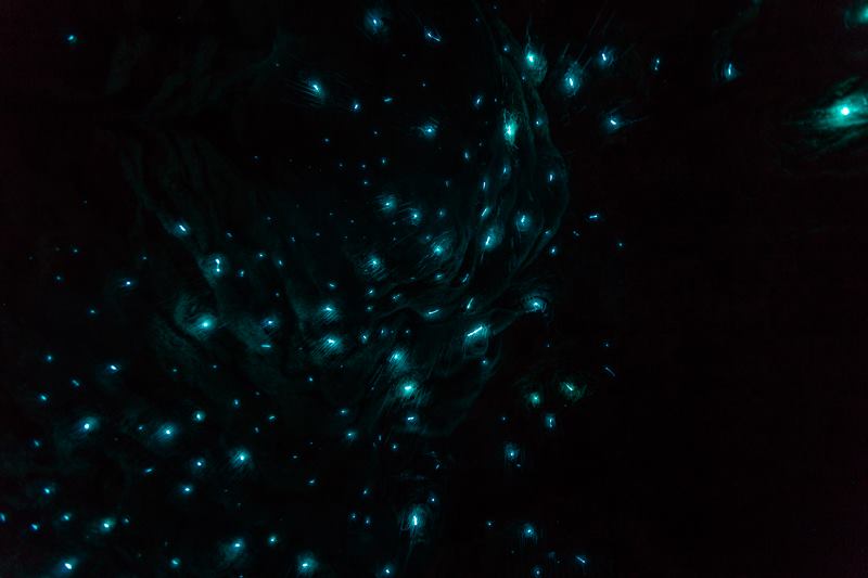 RealNZ_'s tweet photo. The view you'll get at teh Te Anau Glowworm Caves #notthenightsky #starsinside http://t.co/bNpbwDTh6k
