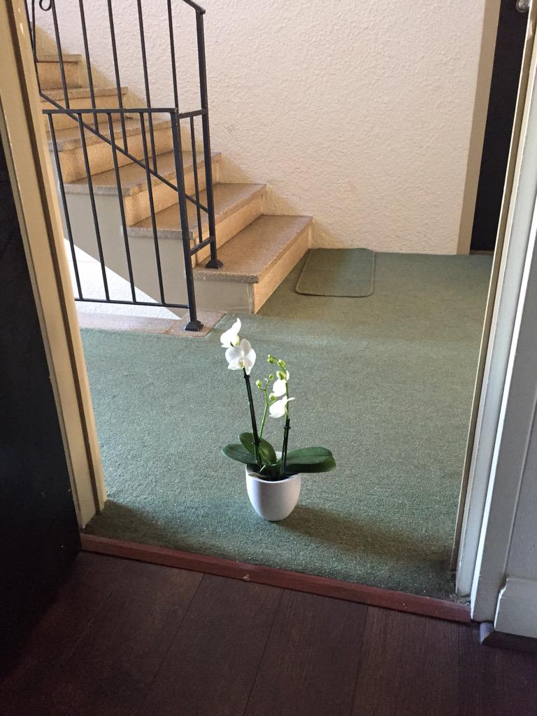 emma1405f's tweet photo. The sweetest trip hazard I've ever seen... #birthdaylove http://t.co/HHxodcva84