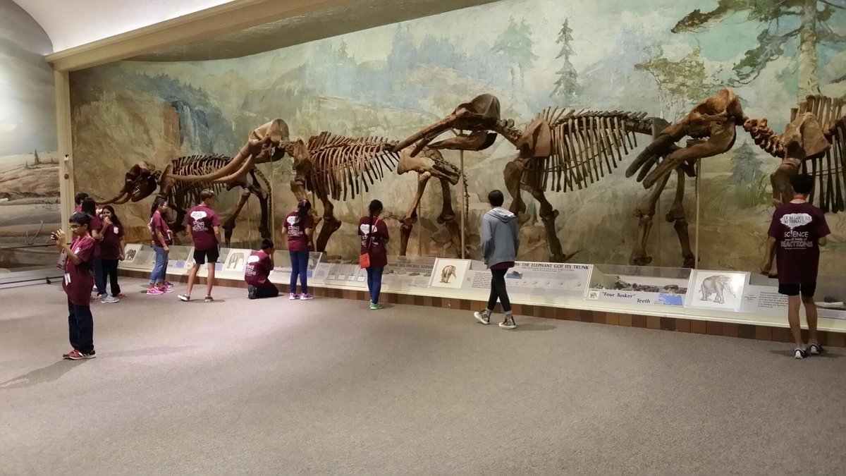 Visiting the campus science museum. Good stuff! #crjh #katyisd