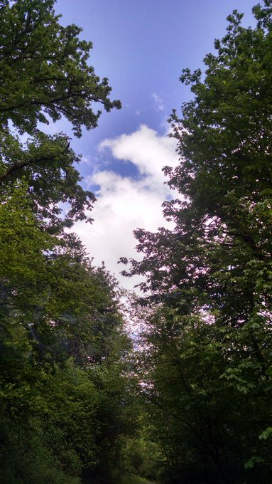 Hiking at the oly woodland trail http://t.co/TpRzzHd4Ii