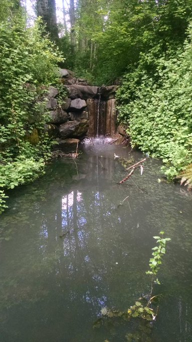 Hiking at the oly woodland trail http://t.co/TpRzzHd4Ii