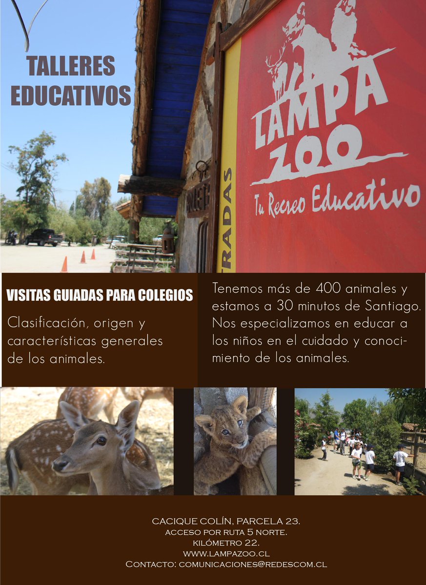 Lampa_Zoo tweet picture