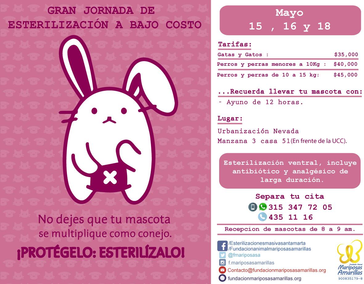 fmariposasa's tweet photo. @CaffeMelatte Proxima jornada de esterilizacion a bajo costo en Santa Marta. Te agradecemos si nos ayudas a difundir. http://t.co/owikvu8siD
