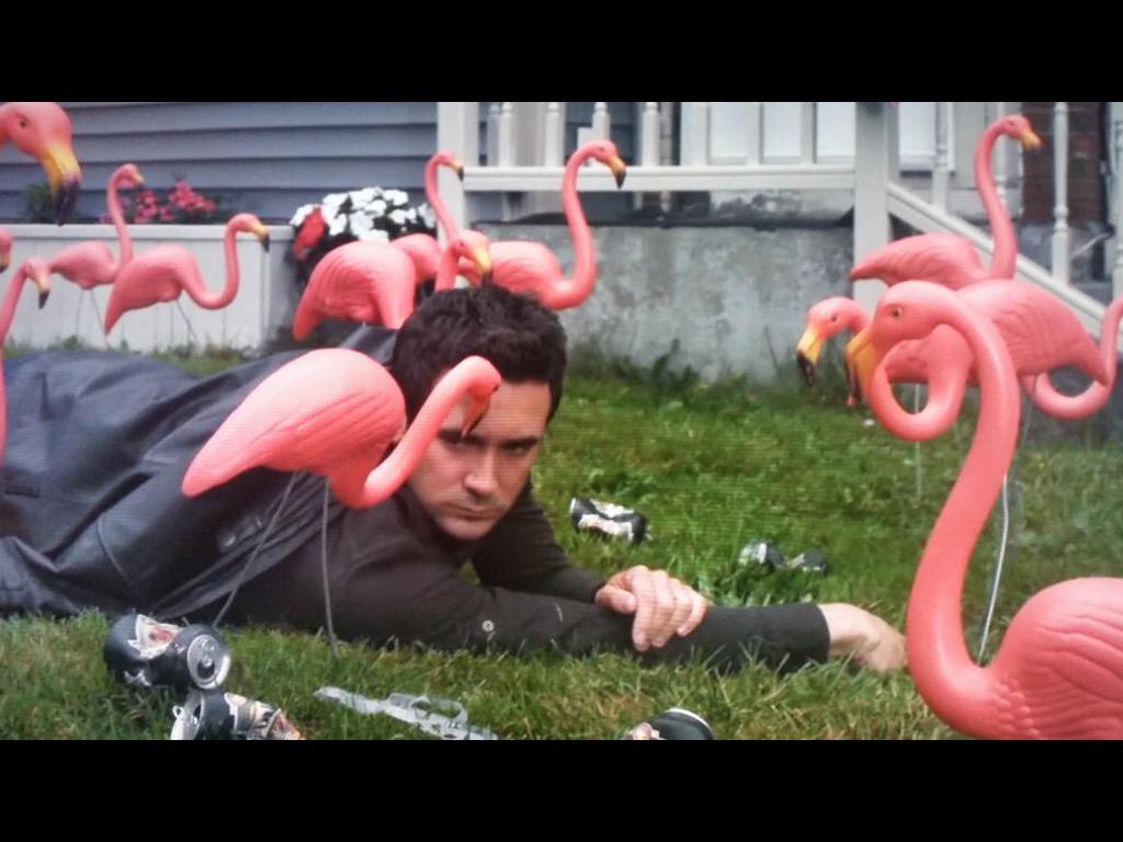 ejlauriston's tweet photo. @RepublicofDoyle here are my fav #DoyleThrowbacks #tht #LastCall http://t.co/qpJesMNSDl