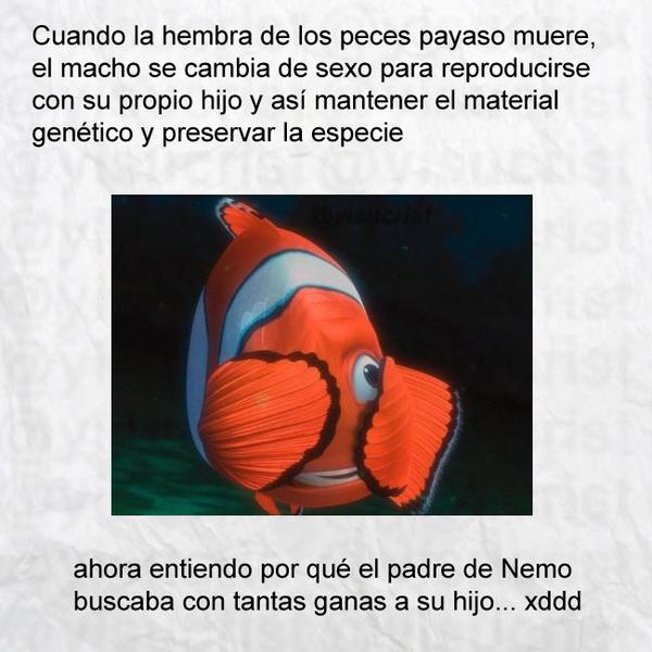 AlumnoDice_'s tweet image. RT si tu infancia ha sido destruida