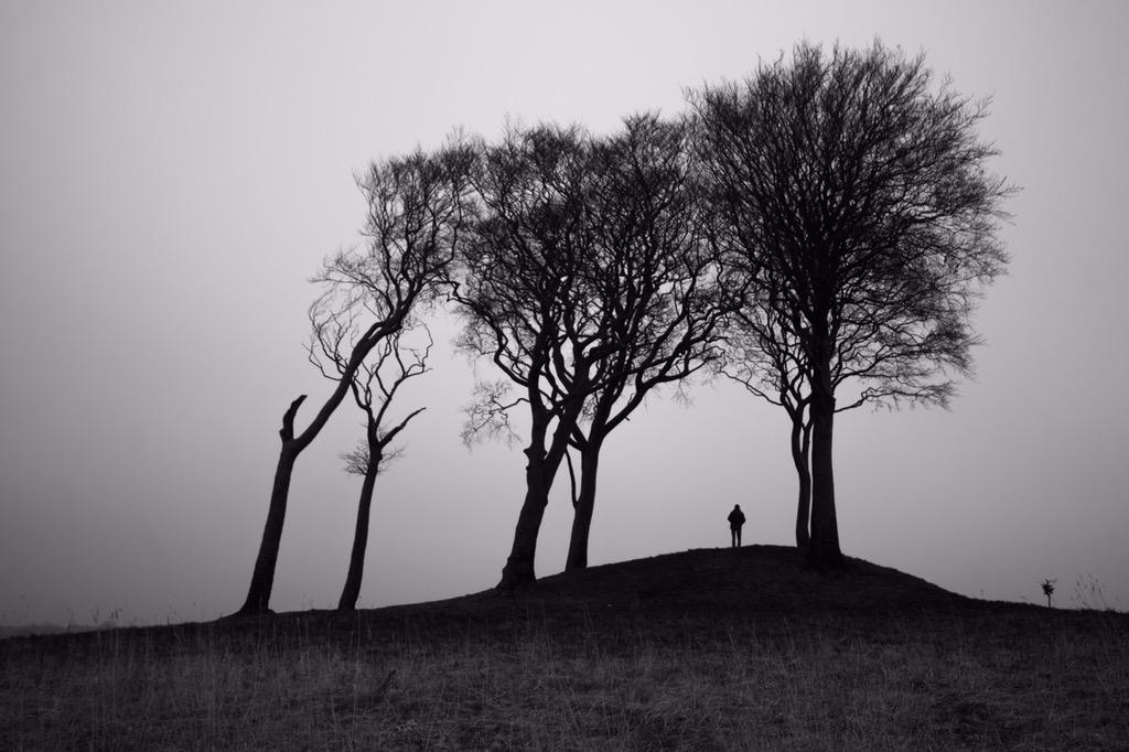 GG31568's tweet photo. Such a contrast to your shot Dean, yet it's the same place, on a foggy morning @dean1411 @dailyp #notsunset http://t.co/rteDccQjmo