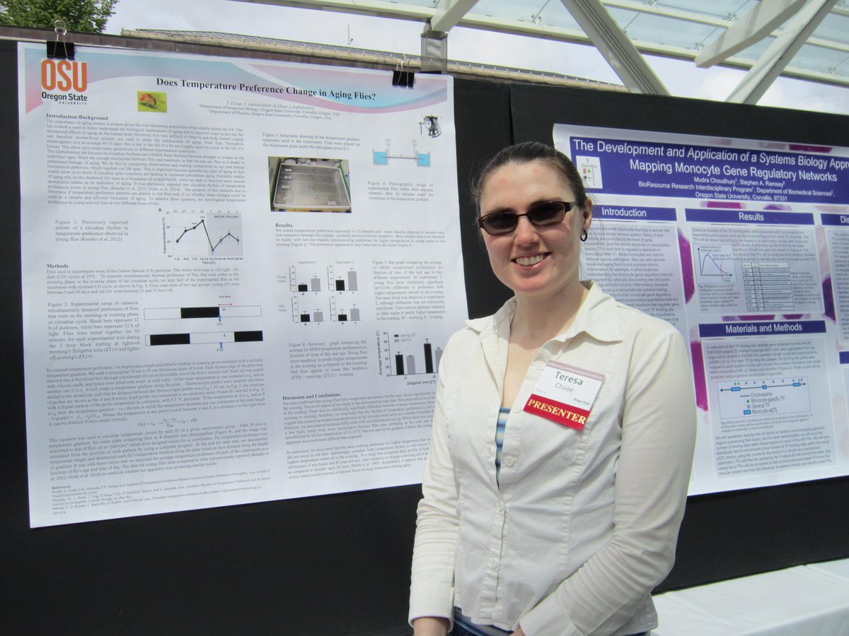 JagaLab_OSU's tweet image. Stop by the SEC plaza 11-4pm today to see Teresa Chase&apos;s work in our lab on aging flies &amp;amp; temperature preference!