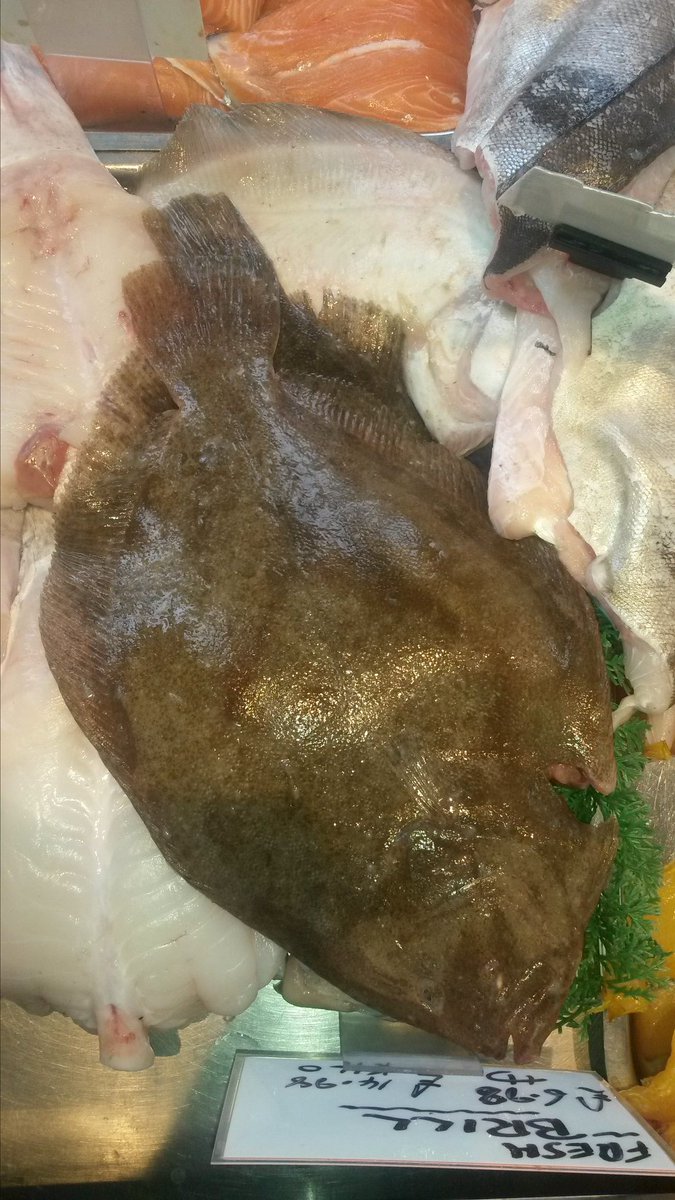 shrig48's tweet photo. fresh from boat to shop fresh brill and fresh dressed crab http://t.co/tD3VNaOXNg