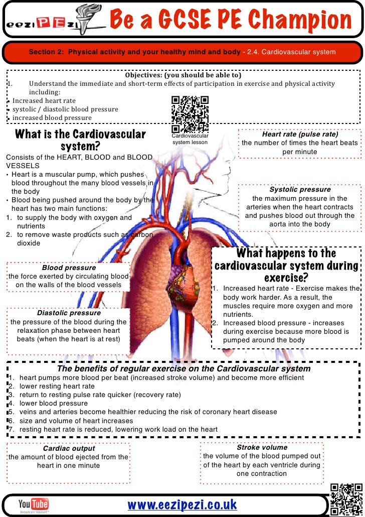 BoswellsPE's tweet image. GCSE PE: #gcseperevision #1.2.1 #1.2.2