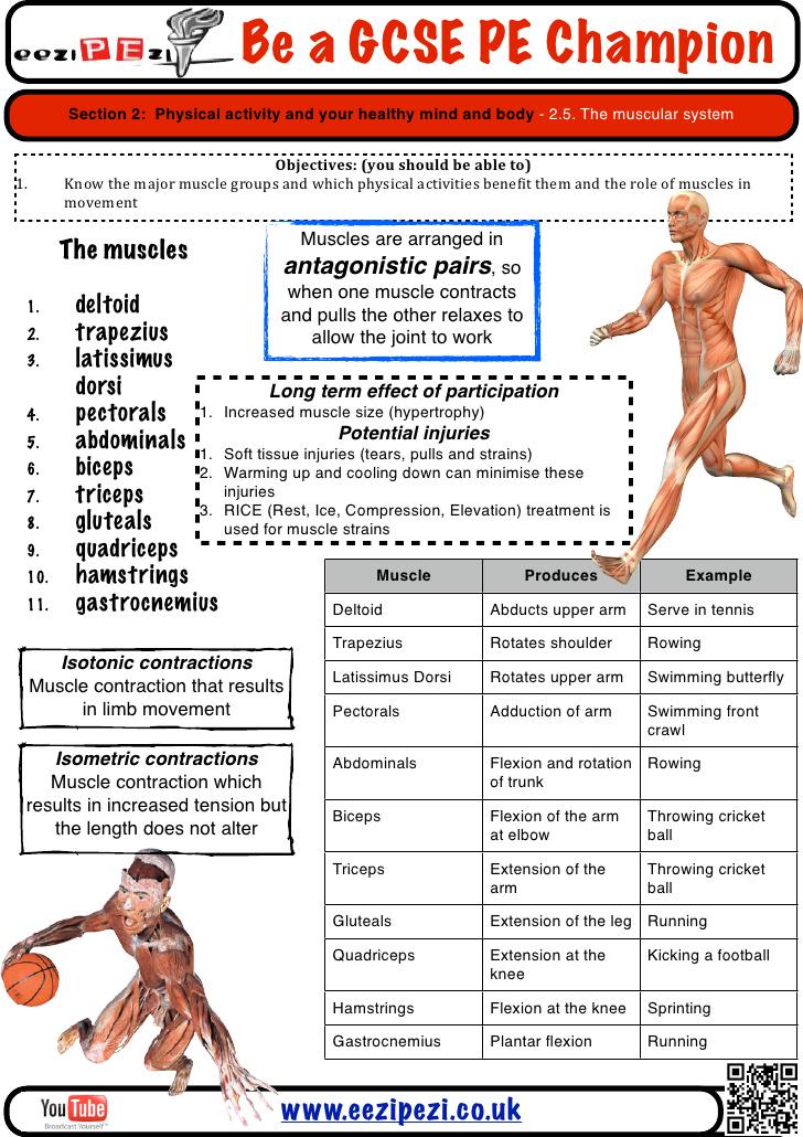 BoswellsPE's tweet image. GCSE PE: #gcseperevision #1.2.2 #1.2.3 #1.2.4 #1.2.5