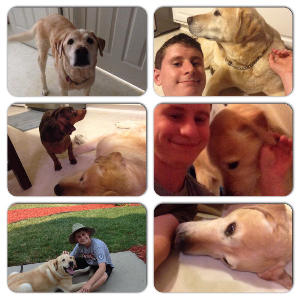 zachbarringer20's tweet photo. I didn't even get to say goodbye! You were always my best friend! Can't believe your gone! #ripdasher 2004-2015๐ญ๐ฐโค๏ธ http://t.co/1Bvlb7J6SI