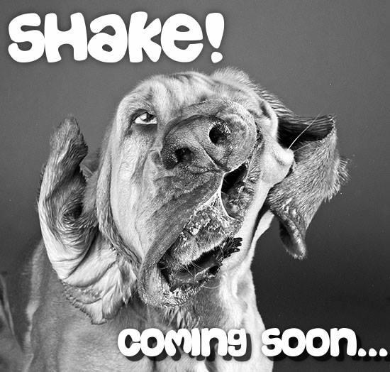 shake_fridays's tweet photo. https://t.co/Py2ZoBZt7Y http://t.co/UFokUmpgTy