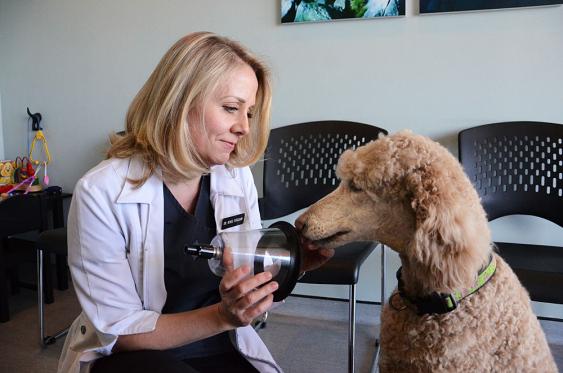 theprovince's tweet photo. Langley firefighting gets pet-friendly thanks to local veterinarian http://t.co/kF9sf7K87r http://t.co/IQIaWXgOSa