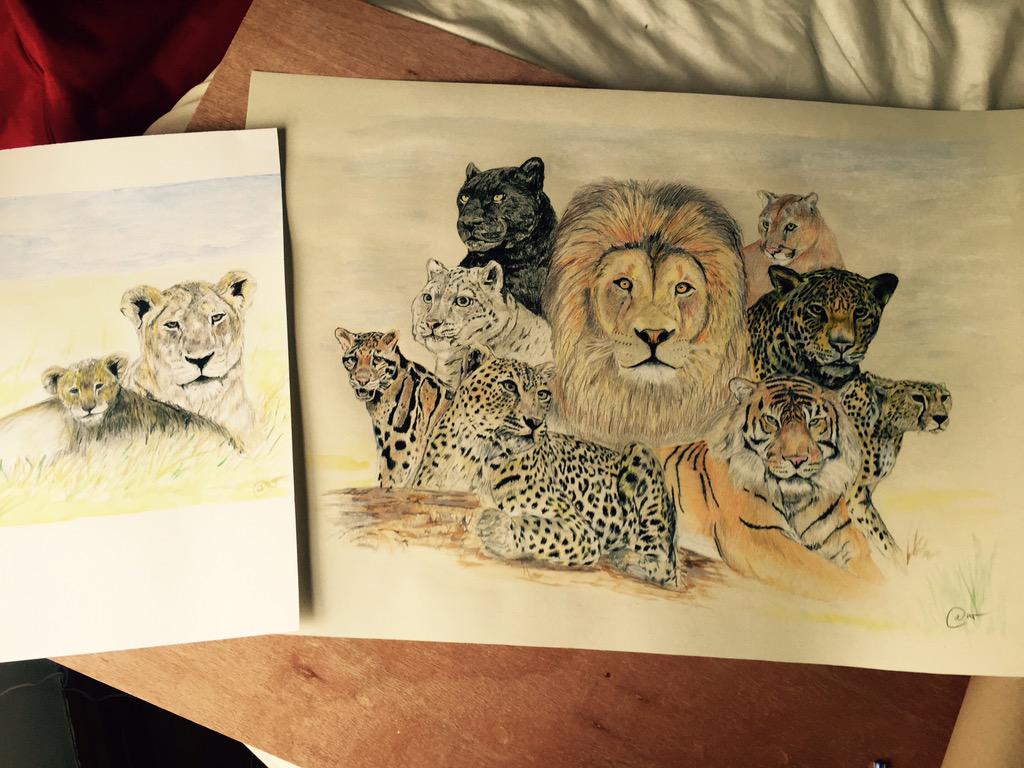 RobThompson_Art's tweet photo. @inspiredpiano Thanks for follow, here is my #9cats piece. Please Retweet? Regards Rob :0) http://t.co/GT77pmHN92