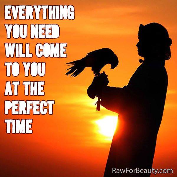 Pop-up Retreat tweet media