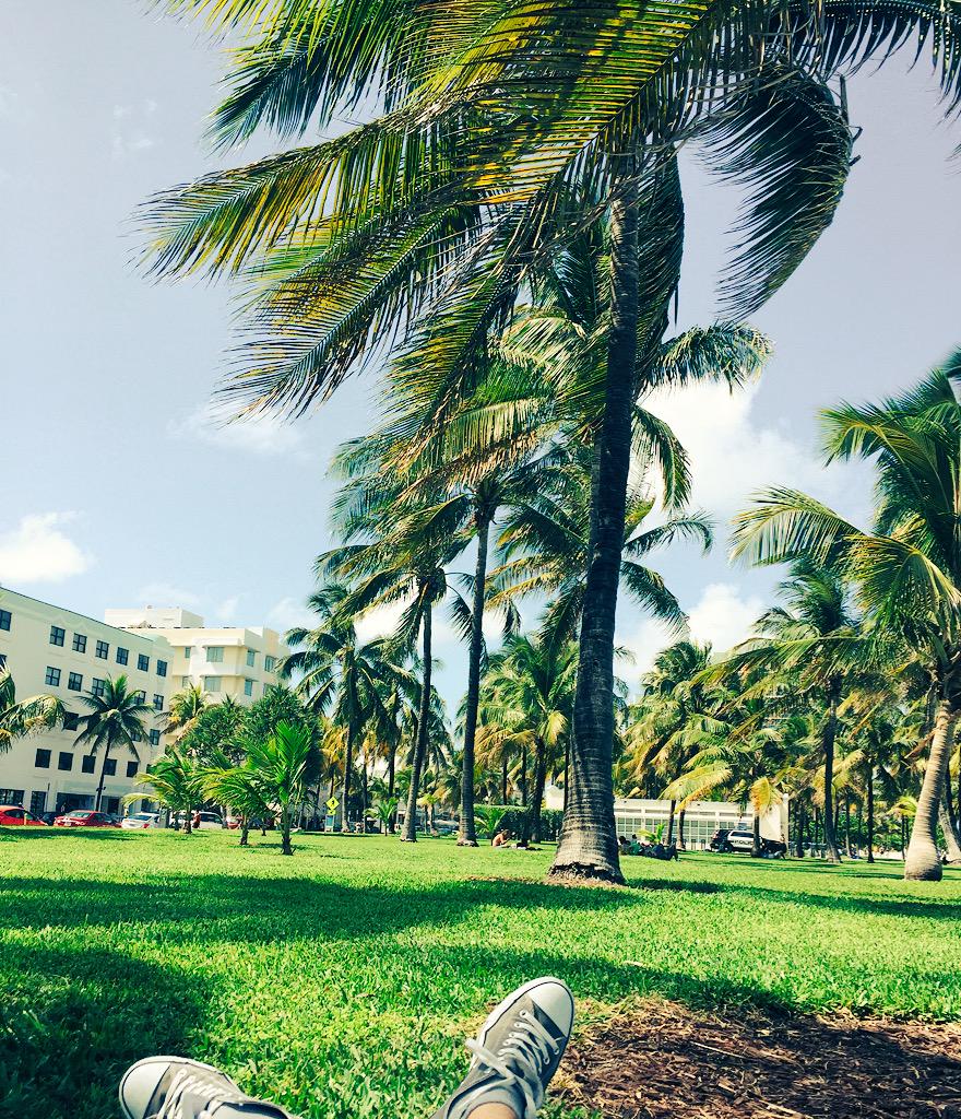 WillyrexYT's tweet photo. Ahora mismo... 🌴☀️ http://t.co/XJpULhpsLF