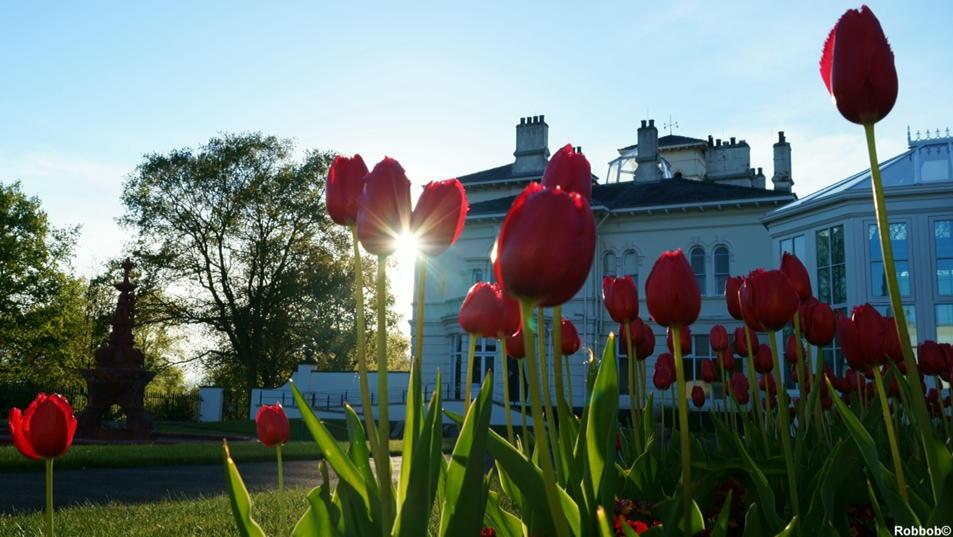 AgeUKMidMersey's tweet photo. Mansion House St Helens, what a transformation. Lovely venue for Weddings http://t.co/71jup559mi