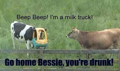 Emma Ozpinar (@emma_ozpinar) on Twitter photo 