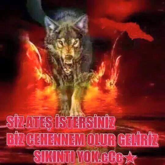 ErCasim's tweet photo. http://t.co/d5BuYqVWQv