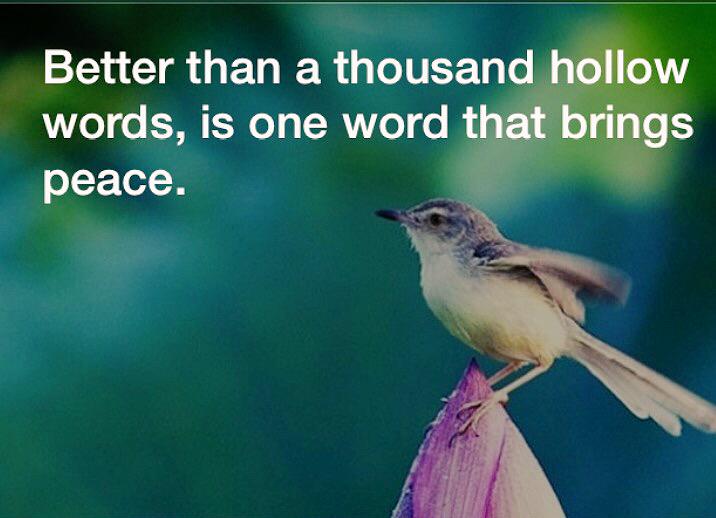 kclashes's tweet image. 