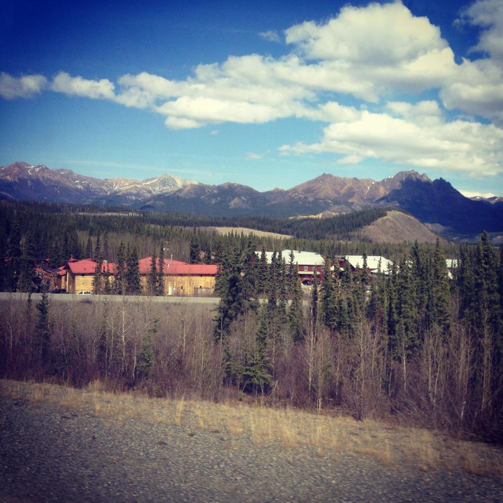 14EarthHours's tweet photo. Just moved back to #Denali. It's like we've never left. <3 #Alaska http://t.co/TtctIylsha