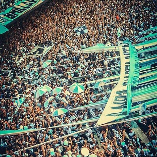 fedealbuixech's tweet photo. Hoy juega el mas grande hoy juega...la acdee!!!!
#RACING #CopaLibertadores http://t.co/HnSpqB0JAP