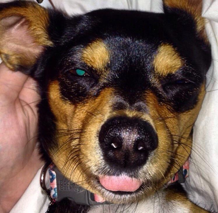 tonofAsh's tweet photo. @JODYHiGHROLLER lady wants to meet Jody!!! http://t.co/AaMaMhiFMp