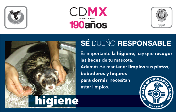 SSC_CDMX's tweet photo. La Brigada de Vigilancia Animal atiende sus denuncia en materia de maltrato animal a través del CAS Tel. 5208 9898. http://t.co/jxCOGsFDiy